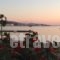 Studios Irene_holidays_in_Hotel_Cyclades Islands_Paros_Paros Chora