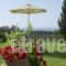 Villa Divaria_best prices_in_Villa_Ionian Islands_Zakinthos_Zakinthos Rest Areas