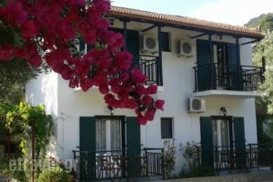 Katerina_accommodation_in_Hotel_Sporades Islands_Skopelos_Skopelos Chora