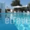 Lilly's Island_accommodation_in_Hotel_Cyclades Islands_Antiparos_Antiparos Chora