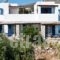 Flora & Agelos Studios_holidays_in_Hotel_Cyclades Islands_Antiparos_Antiparos Rest Areas