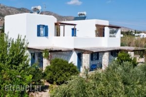 Flora & Agelos Studios_accommodation_in_Hotel_Cyclades Islands_Antiparos_Antiparos Rest Areas