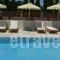 Graziella Apartments_lowest prices_in_Apartment_Dodekanessos Islands_Rhodes_Ialysos