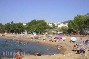 Terpsichore Apartments_holidays_in_Apartment_Thessaly_Magnesia_Pilio Area