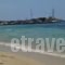 Litsa Studios_best prices_in_Hotel_Cyclades Islands_Naxos_Naxos chora