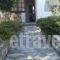 Amalia Studios_best prices_in_Hotel_Sporades Islands_Skiathos_Skiathos Chora