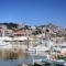 Triena Rooms_best deals_Room_Aegean Islands_Lesvos_Mythimna (Molyvos)