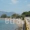Zeus Village_lowest prices_in_Hotel_Central Greece_Fokida_Gravia