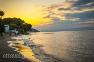 Villa Teresa_travel_packages_in_Aegean Islands_Thasos_Thasos Chora