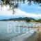 Villa Teresa_holidays_in_Villa_Aegean Islands_Thasos_Thasos Chora