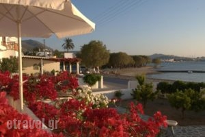 Studios Irene_lowest prices_in_Hotel_Cyclades Islands_Paros_Paros Chora