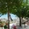 Heras Garden_accommodation_in_Hotel_Ionian Islands_Kefalonia_Kefalonia'st Areas