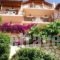 Studio Rolous_accommodation_in_Hotel_Ionian Islands_Lefkada_Lefkada Rest Areas