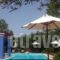 Liokambi Village Bungalows_best prices_in_Hotel_Aegean Islands_Lesvos_Mythimna (Molyvos)