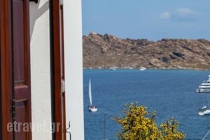 Irene Rooms_holidays_in_Room_Cyclades Islands_Paros_Naousa