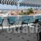 Zorbas Hotel & Studios_holidays_in_Hotel_Aegean Islands_Samos_Pythagorio