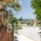 Kouremenos Beach Apartments_best deals_Apartment_Crete_Lasithi_Sitia