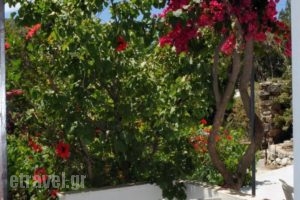 Alex_best prices_in_Hotel_Cyclades Islands_Tinos_Tinosora