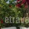 Alex_best prices_in_Hotel_Cyclades Islands_Tinos_Tinosora