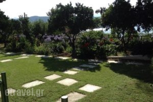 Villa Yiannis_lowest prices_in_Villa_Sporades Islands_Skiathos_Skiathoshora