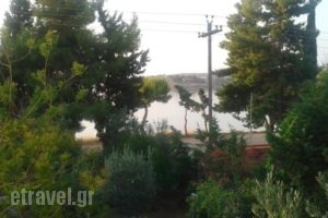 Elea Guesthouse_lowest prices_in_Hotel_Central Greece_Fokida_Galaxidi