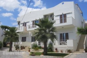 Lion-Suites_holidays_in_Hotel_Crete_Chania_Kalyves