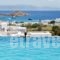 Adelmar Hotel & Suites_accommodation_in_Hotel_Cyclades Islands_Mykonos_Platys Gialos