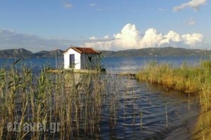 Villa Chrisanthi_best prices_in_Villa_Aegean Islands_Lesvos_Lesvos Rest Areas