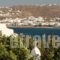 Mourtzakis_holidays_in_Hotel_Cyclades Islands_Mykonos_Mykonos ora