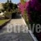 Oceanides Apartments_best prices_in_Apartment_Crete_Lasithi_Sitia