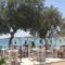 Krios Beach Camping_holidays_in_Hotel_Cyclades Islands_Paros_Paros Chora