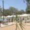 Krios Beach Camping_best prices_in_Hotel_Cyclades Islands_Paros_Paros Chora