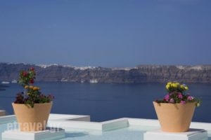 Maison Des Lys- Luxury Suites_accommodation_in_Hotel_Cyclades Islands_Sandorini_Sandorini Chora