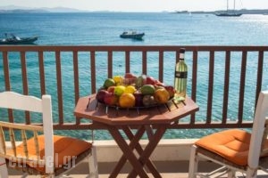 Petalides Apartments_accommodation_in_Apartment_Cyclades Islands_Paros_Paros Chora