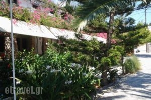 Asteri Hotel_best prices_in_Hotel_Dodekanessos Islands_Patmos_Skala