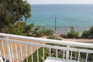 Laskarina Rooms_holidays_in_Room_Aegean Islands_Thasos_Thasos Chora