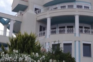 Stargazer Villa_holidays_in_Villa_Piraeus Islands - Trizonia_Aigina_Marathonas