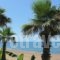 Ionion Beach Apartment Hotel_accommodation_in_Apartment_Peloponesse_Ilia_Vartholomio