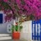Gaby Rooms_accommodation_in_Room_Cyclades Islands_Sandorini_Fira