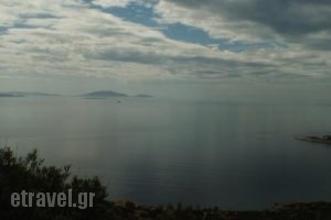 Stargazer Villa_best prices_in_Villa_Piraeus Islands - Trizonia_Aigina_Marathonas