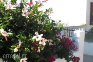 Maltabe Studios_best prices_in_Hotel_Cyclades Islands_Andros_Andros City