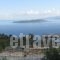 Ionian View Villas_best prices_in_Villa_Ionian Islands_Kefalonia_Fiskardo