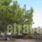 Ferma Hill Apartments_lowest prices_in_Apartment_Crete_Lasithi_Ierapetra