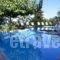 Dafnoudi Hotel Apartments_best deals_Apartment_Ionian Islands_Kefalonia_Kefalonia'st Areas