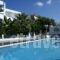 Ninetta'S Studios_best prices_in_Hotel_Piraeus Islands - Trizonia_Poros_Poros Rest Areas