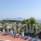 Atrium of Alonissos_accommodation_in_Hotel_Sporades Islands_Skopelos_Skopelos Chora