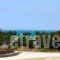 Asteras_lowest prices_in_Hotel_Cyclades Islands_Antiparos_Antiparos Chora