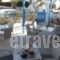 Villa Sophie_accommodation_in_Villa_Cyclades Islands_Paros_Piso Livadi