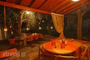 Evaggelia Studios_best deals_Hotel_Sporades Islands_Skopelos_Neo Klima - Elios