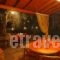 Evaggelia Studios_best deals_Hotel_Sporades Islands_Skopelos_Neo Klima - Elios